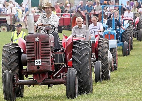 Honiton show